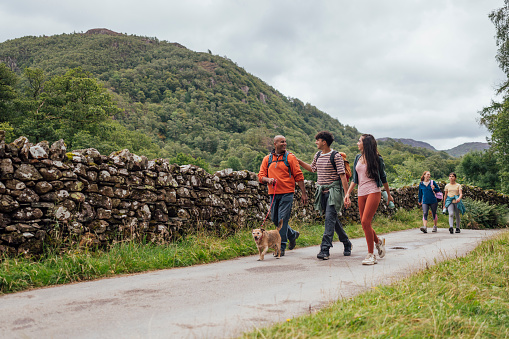 Foster-Fostering-Drystone-Wall-Walk